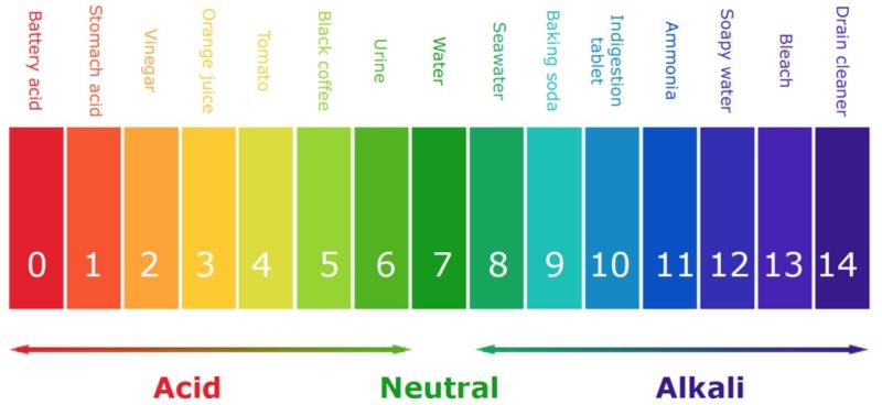 File:PH scale.jpg